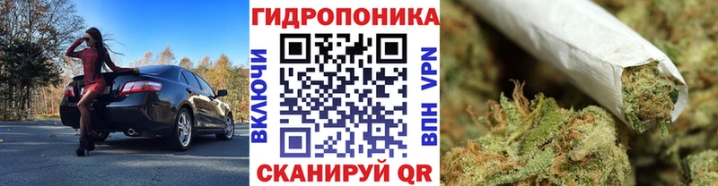 Шишки марихуана SATIVA & INDICA  Купить закладки  Вязьма 